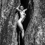 Yerba Buena Model Photography